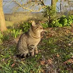La Colline Aux Licornes Bed & Breakfast 3*