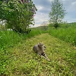 La Colline Aux Licornes Bed & Breakfast Montbron