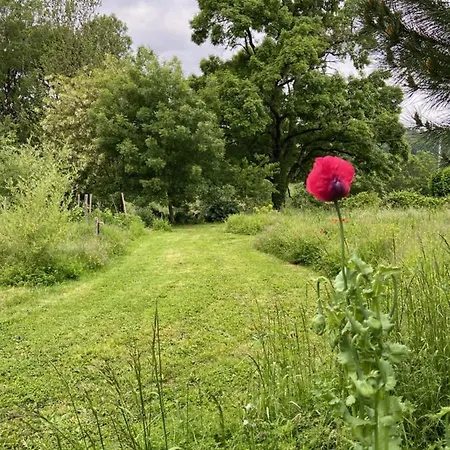 La Colline Aux Licornes *