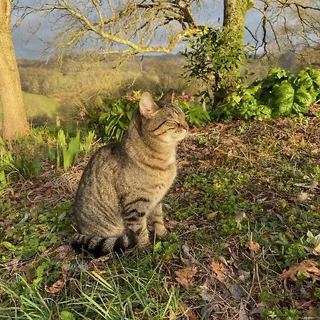 La Colline Aux Licornes 住宿加早餐酒店 3*