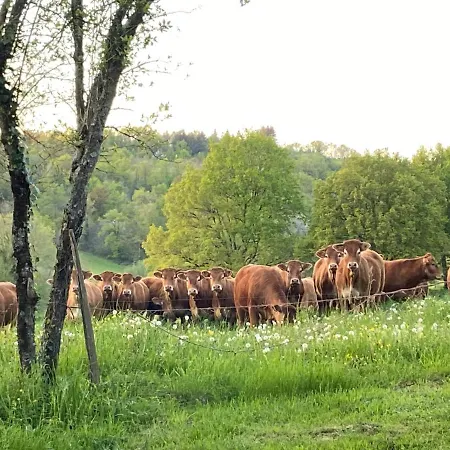 住宿加早餐酒店 La Colline Aux Licornes Montbron