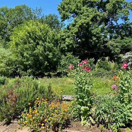 La Colline Aux Licornes