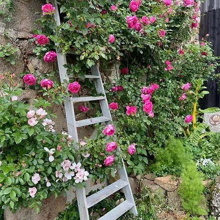 La Colline Aux Licornes 住宿加早餐酒店