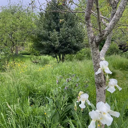 住宿加早餐酒店 La Colline Aux Licornes Montbron