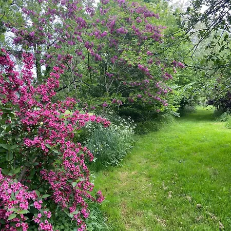 Bed & Breakfast La Colline Aux Licornes