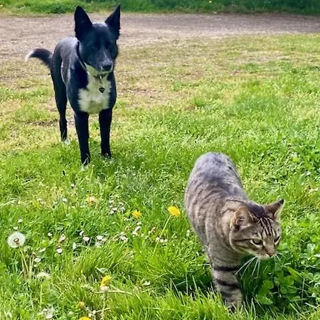La Colline Aux Licornes
